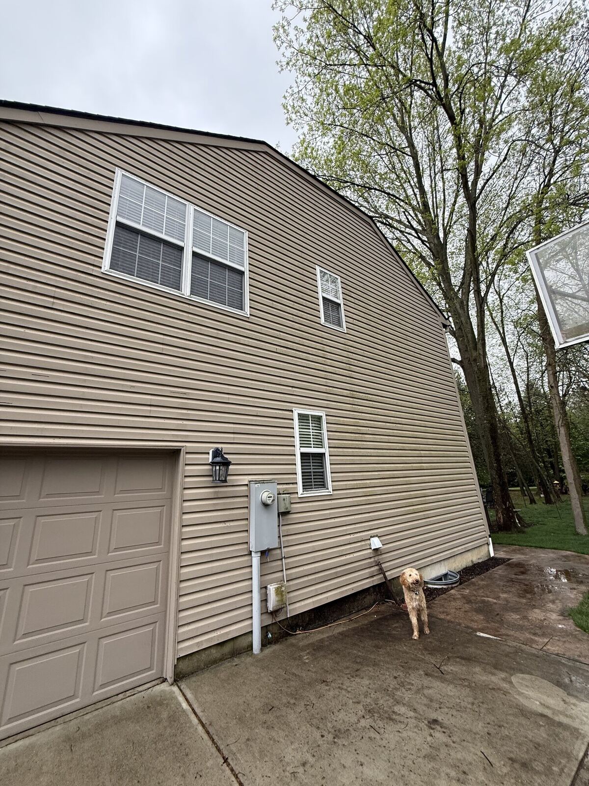 Home siding before house washing, with visible dirt and streaking